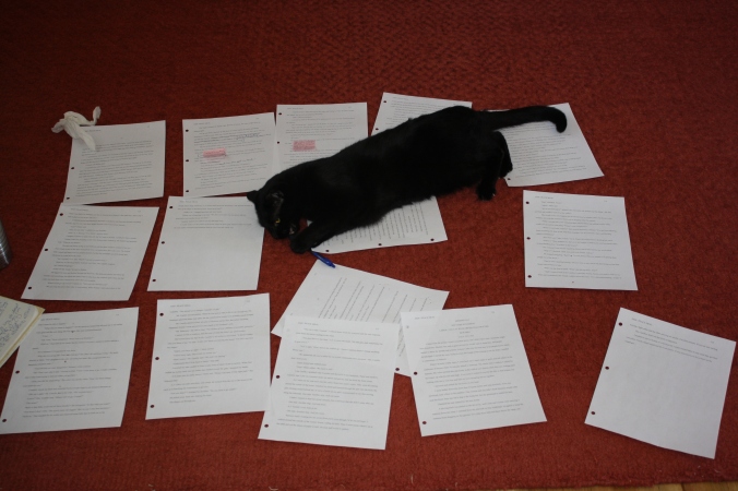 Cats and revision pages 005